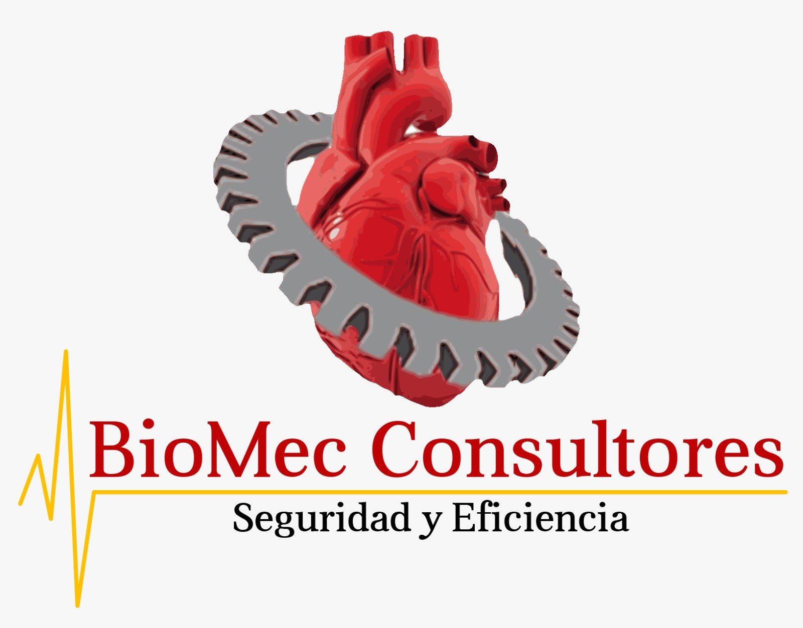 BioMec Consultores